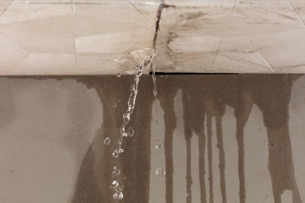 Professional Water Damage Repair technician working in Cleburne, TX